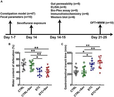 Altered intestinal barrier contributes to cognitive impairment in old mice with constipation after sevoflurane anesthesia